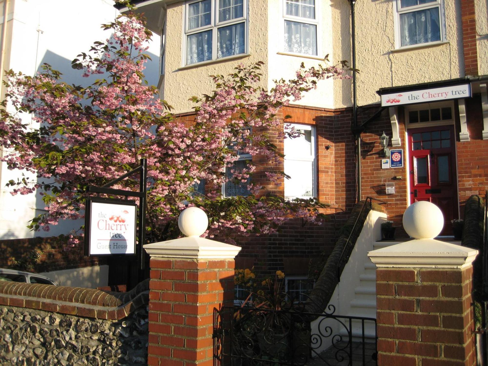 The Cherry Tree Guest House Eastbourne Exterior photo