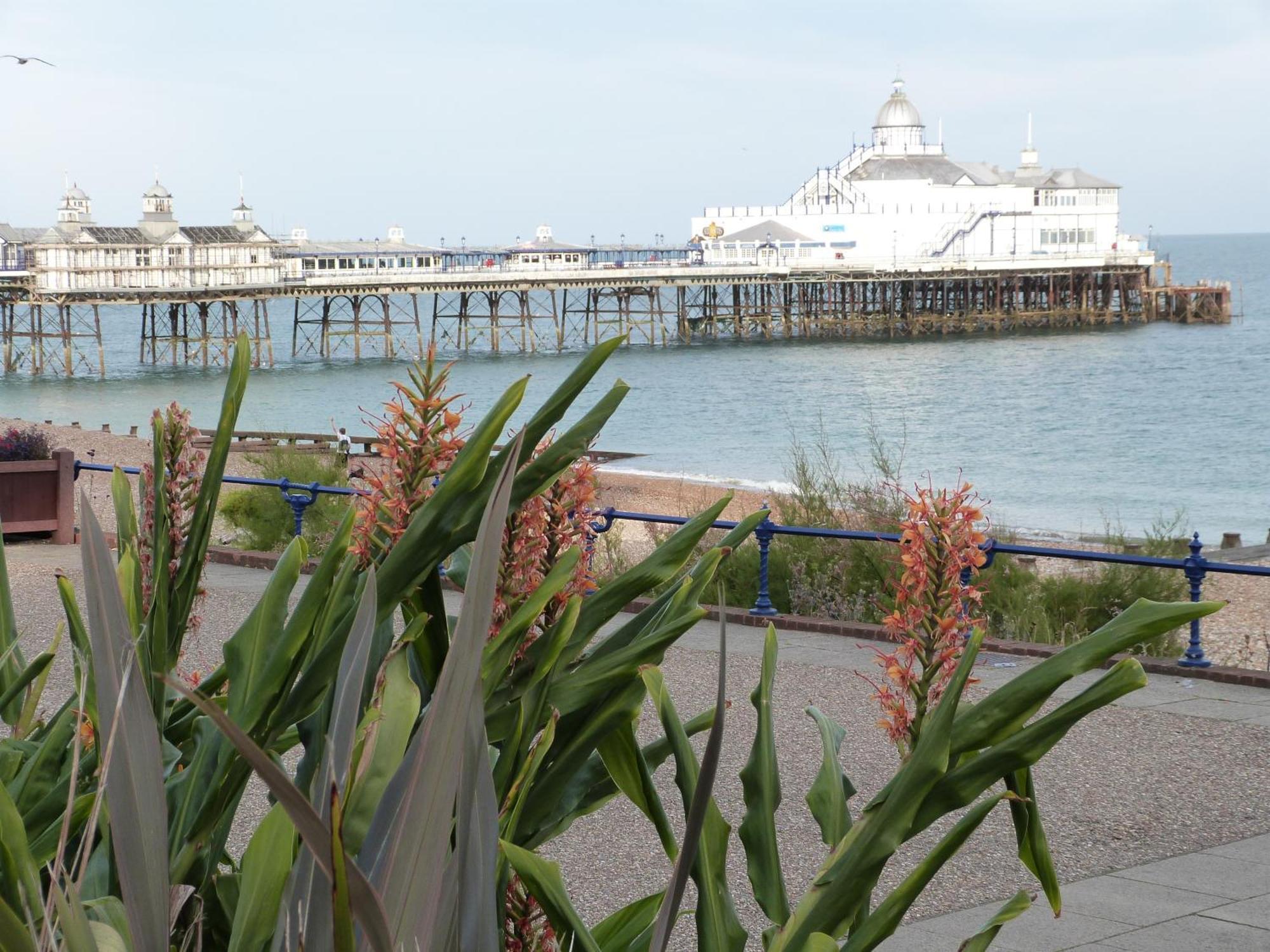 The Cherry Tree Guest House Eastbourne Exterior photo